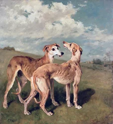 Windhunde